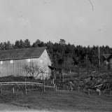 Eikehaugen