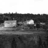 Eikehaugen