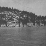 Skjæring av isblokker på ferskvann med hest og sag.