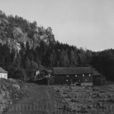 Bekkevika