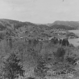 Ørvik