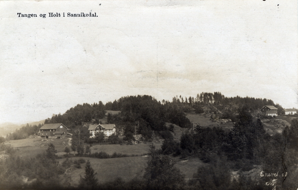 Tangen og Holt i Sannikedal 1912